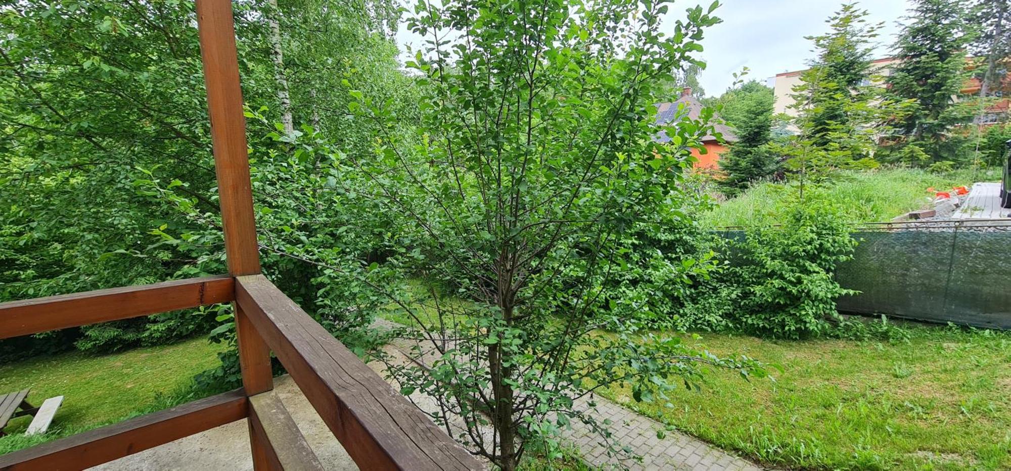 Apartment Apartmany Orlova